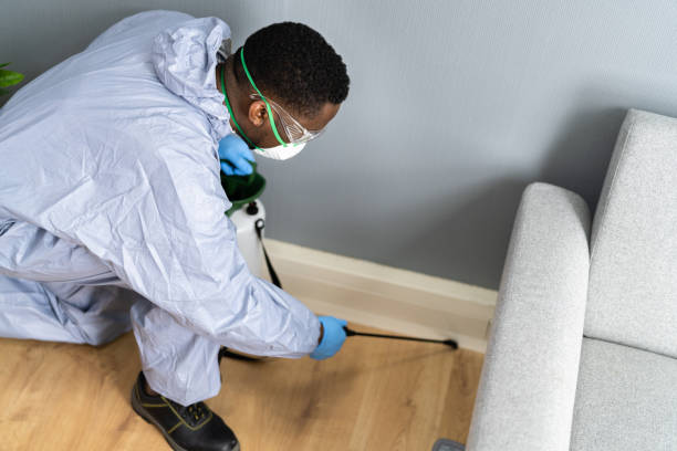 Best Pest Prevention Services  in Ashburn, GA